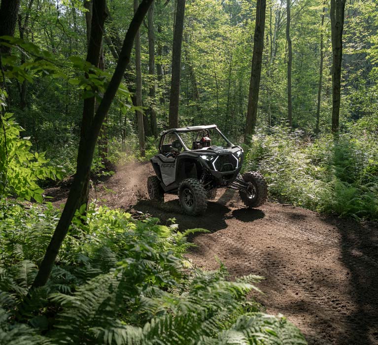 Rzr PRO XP